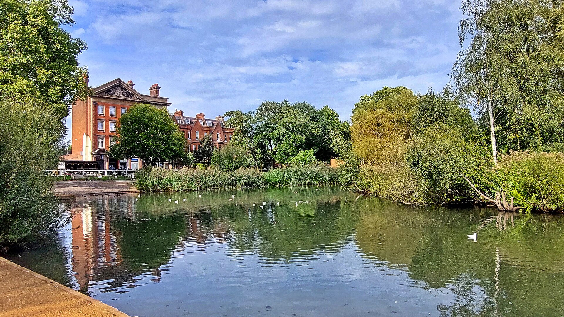 Barnes Pond, with red brick houses of the Green overlooking the water.